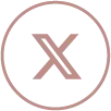 X icon