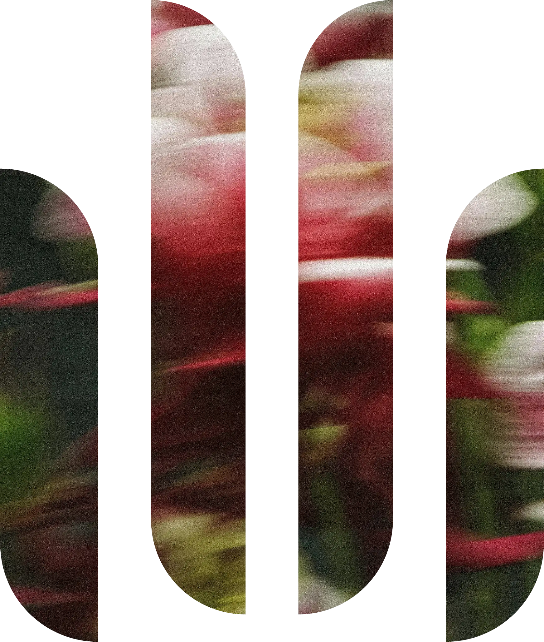 Rose Garden logo